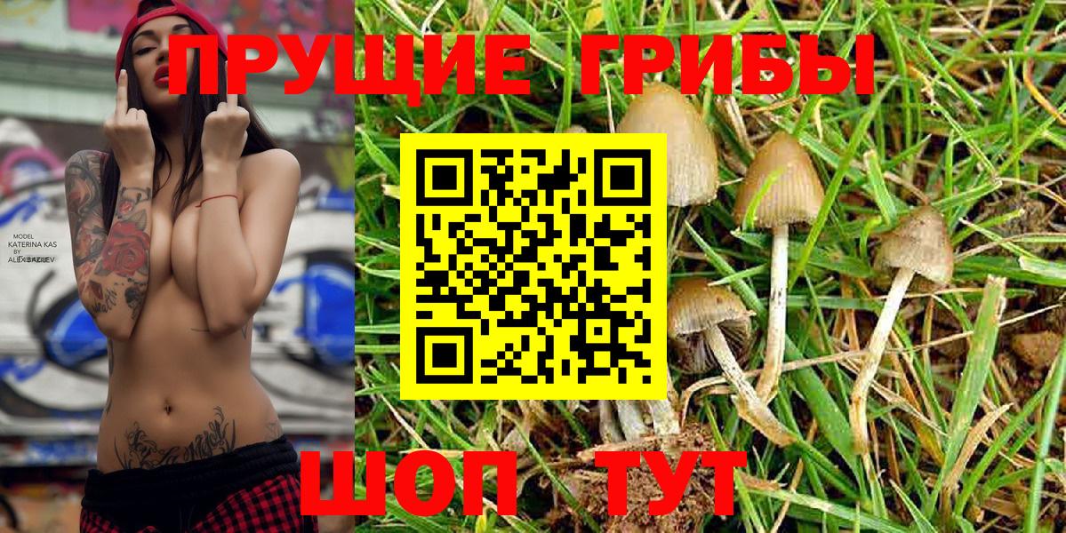 Галлюциногенные грибы Magic Shrooms Первоуральск