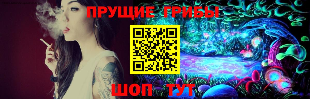 Первоуральск  Псилоцибиновые грибы MAGIC MUSHROOMS  Вход с VPN 